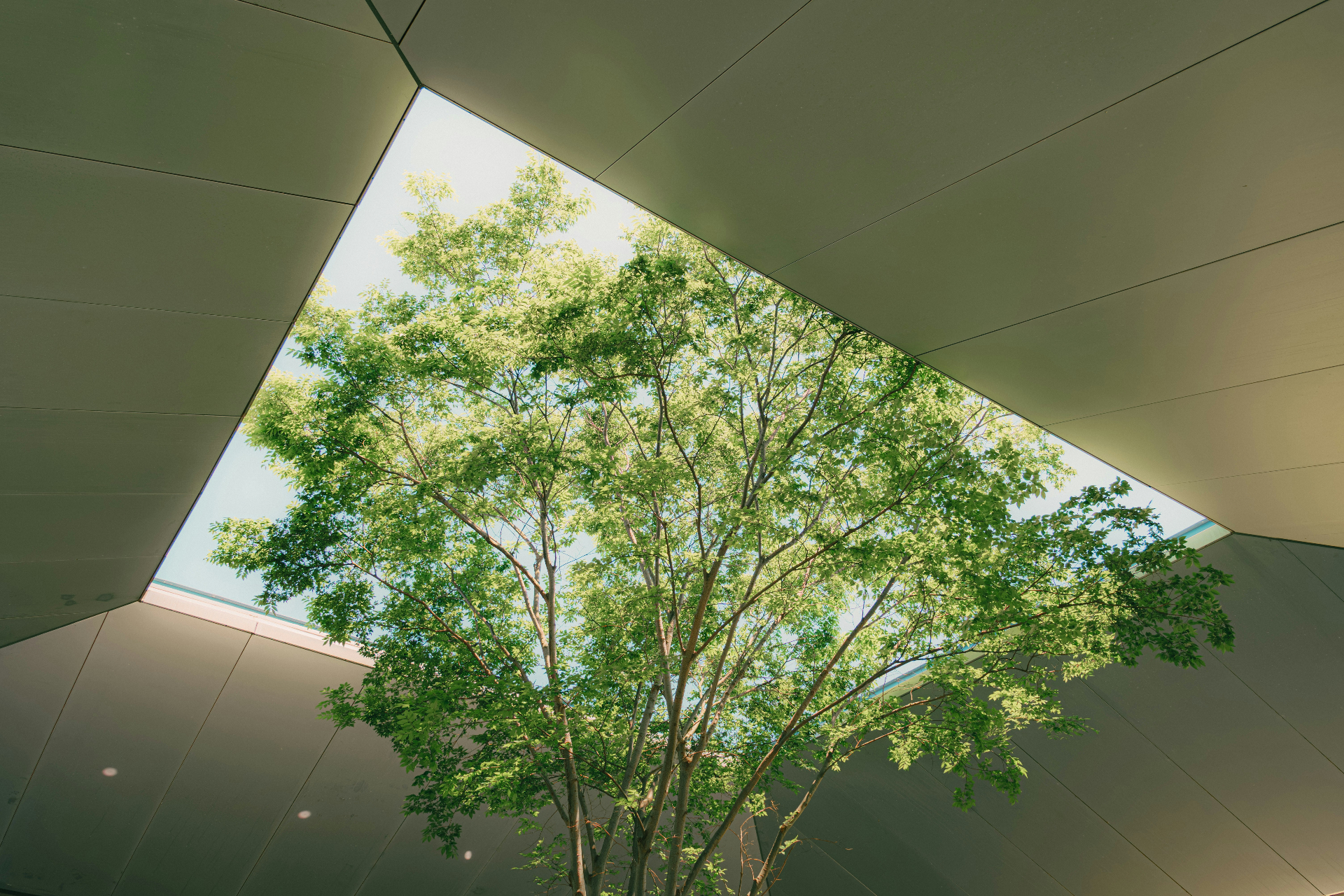 Close-up of a clean window frame and pale architectural surfaces in soft natural light.